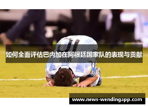 如何全面评估巴内加在阿根廷国家队的表现与贡献